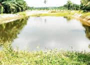 Proyek Embung Desa Margorejo Mangkrak, Upah Pekerja Tak Dibayar dan Papan Proyek Misterius
