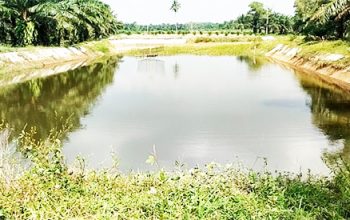Proyek Embung Desa Margorejo Mangkrak, Upah Pekerja Tak Dibayar dan Papan Proyek Misterius