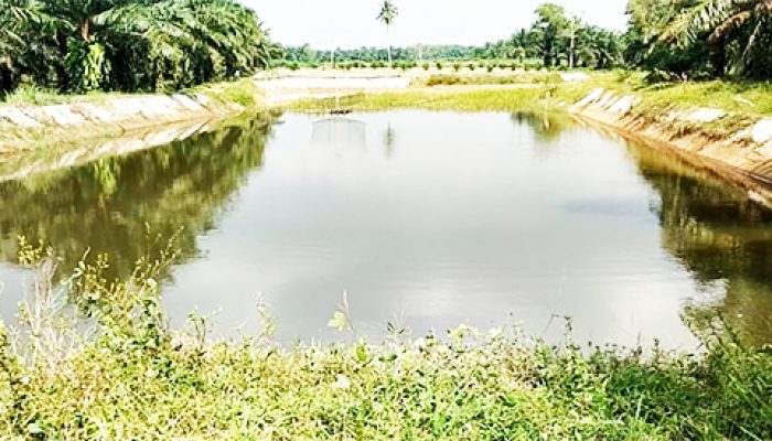Proyek Embung Desa Margorejo Mangkrak, Upah Pekerja Tak Dibayar dan Papan Proyek Misterius