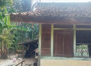 Warga Cemas Tiang Listrik PLN dan Kabel Semrawut