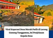 Viraaaaal..!!!! Pembangunan Koperasi Merah Putih di Bangun di Lereng Gunung Tanggamus Menuai Sorotan