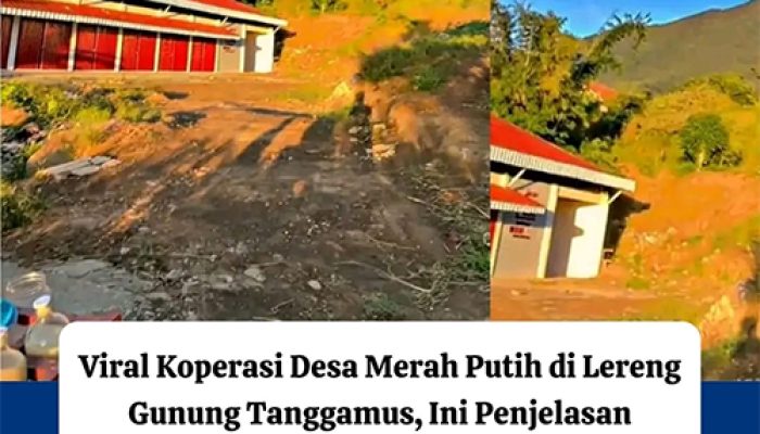 Viraaaaal..!!!! Pembangunan Koperasi Merah Putih di Bangun di Lereng Gunung Tanggamus Menuai Sorotan